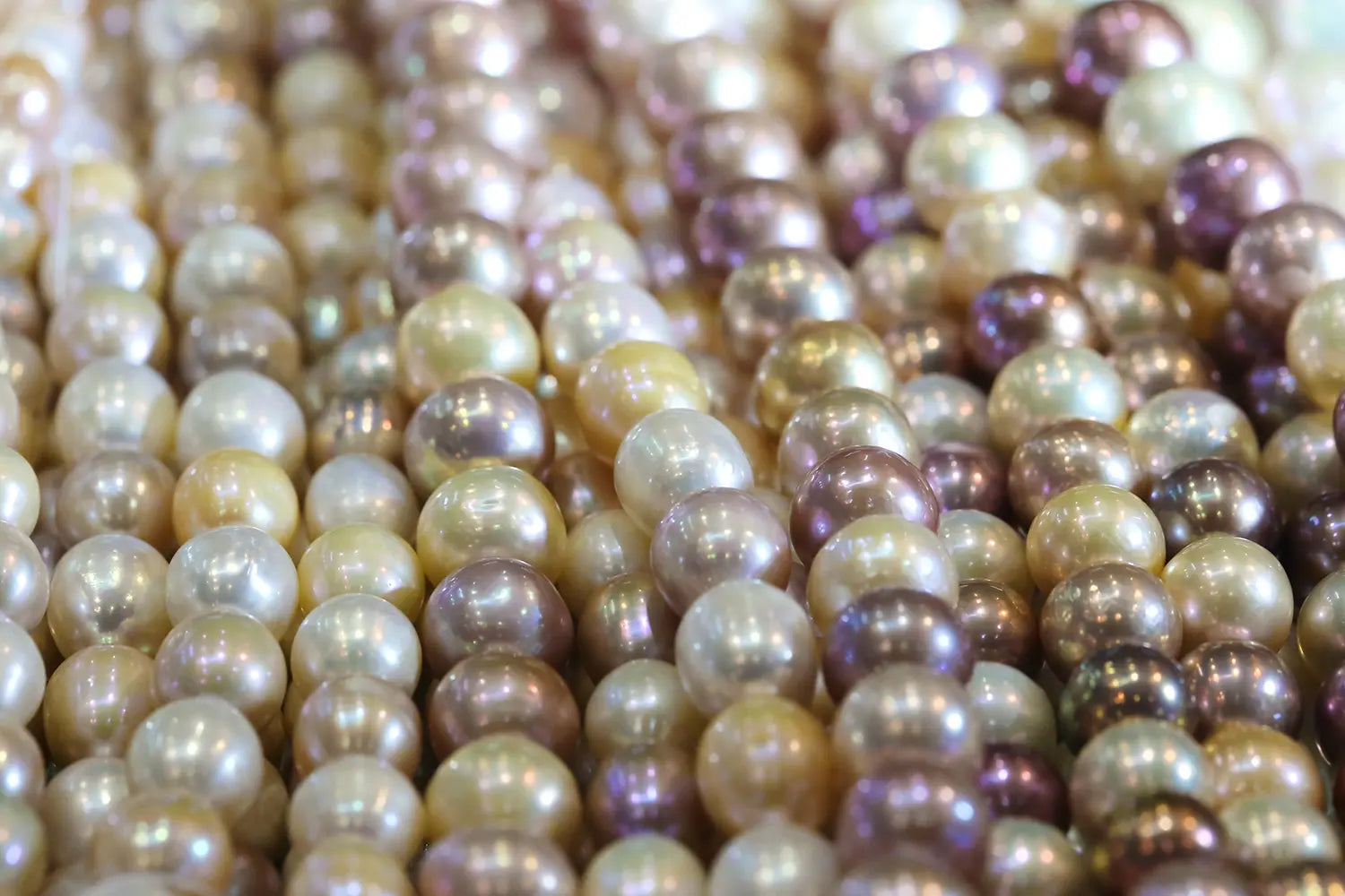 Comment naissent vraiment les perles naturelles ?