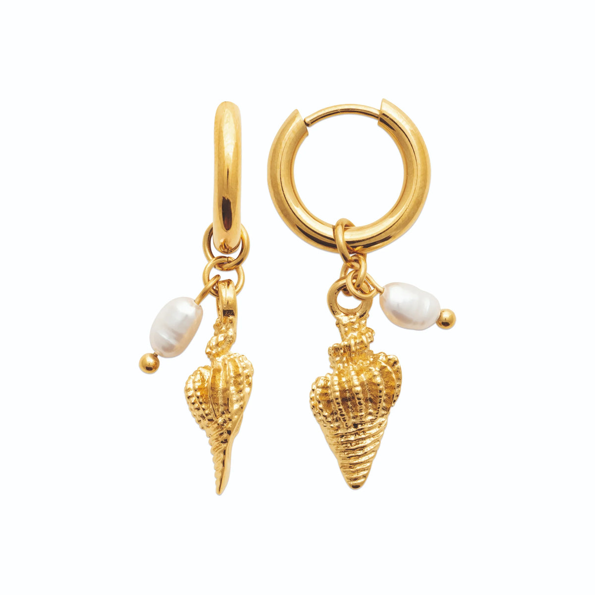 Boucles d’oreilles créoles coquillage conique et perle d’imitation en acier PVD doré