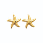 Boucles d’oreilles puces étoile de mer bombée en acier PVD doré
