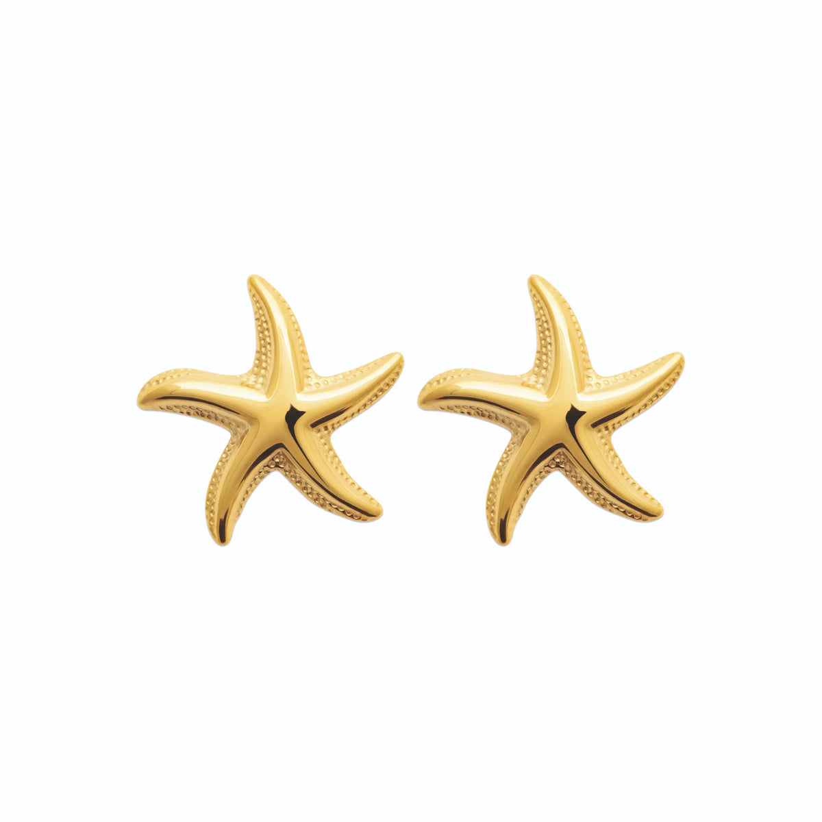 Boucles d’oreilles puces étoile de mer bombée en acier PVD doré