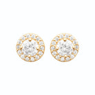 Boucles d’oreilles puces halo de zircons en plaqué or